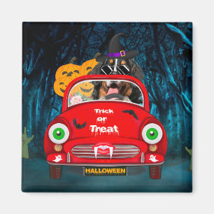 Bernese Mountain Hund Driving Car Scary Halloween Magnet
