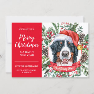 Bernese Mountain Hund, dyrt julkort Kort
