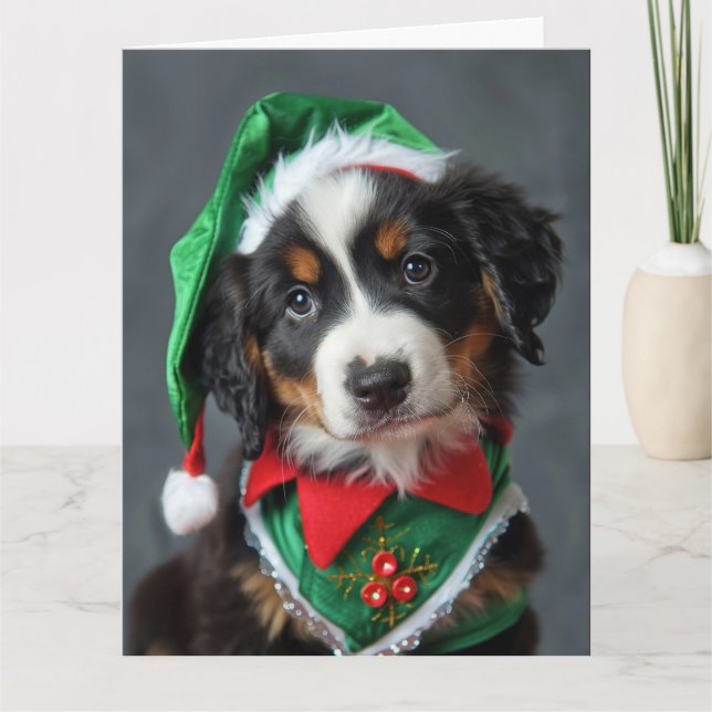 Bernese Mountain Hund Elf Puppy-julkort Kort (Framsida)