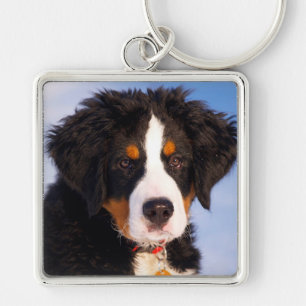 Bernese Mountain Hund Fyrkantig Silverfärgad Nyckelring