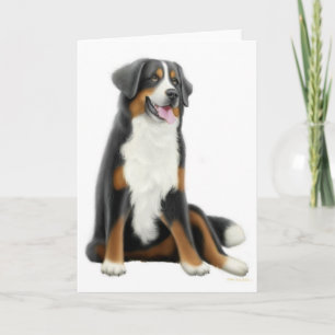 Bernese Mountain Hund Greeting Card Kort