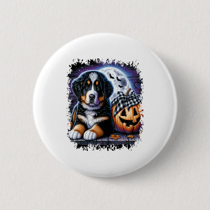 Bernese Mountain Hund Halloween Knapp