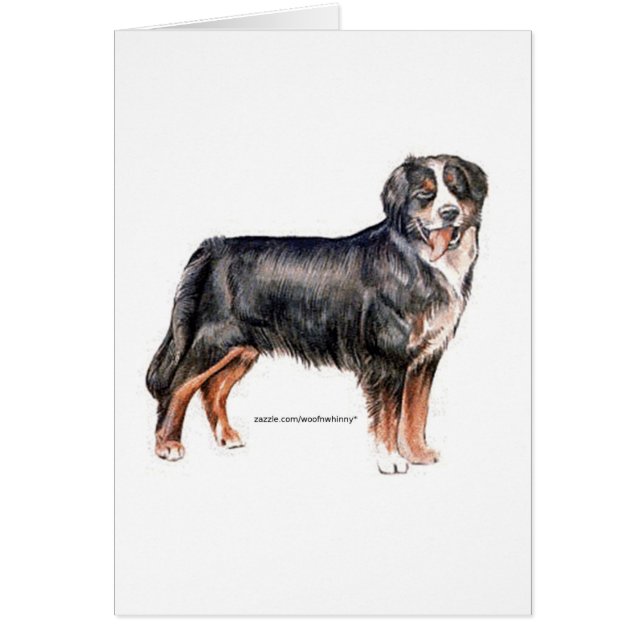 Bernese Mountain Hund Hälsningskort (Framsidan)