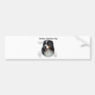 Bernese Mountain Hund History; Allt om Berners Bildekal