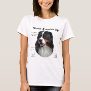 Bernese Mountain Hund History; Allt om Berners Tröja