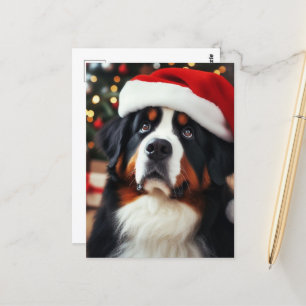 Bernese Mountain Hund i Santa Hat Vykort