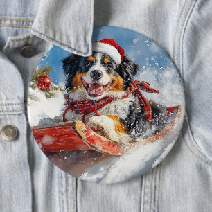 Bernese Mountain Hund i Sledge jul Knapp