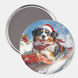 Bernese Mountain Hund i Sledge jul Magnet