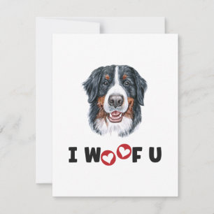 Bernese Mountain Hund I Woof You