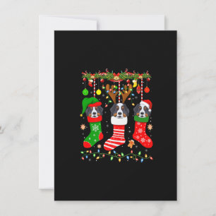 Bernese Mountain Hund in jul Socks Ljus Xma Inbjudningar