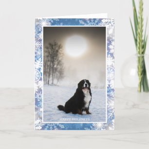 Bernese Mountain Hund In Snö Winter View Photo Helgkort