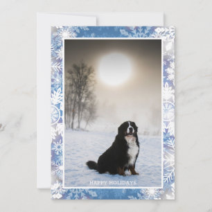 Bernese Mountain Hund In Snö Winter View Photo Julkort