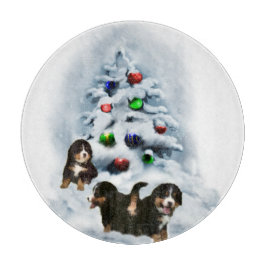 Bernese Mountain Hund jul