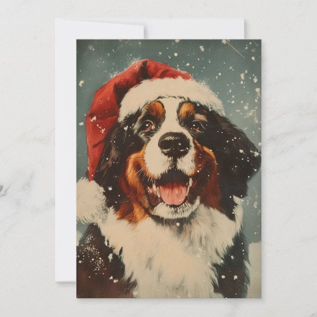 Bernese Mountain hund jul Julkort (Framsida)