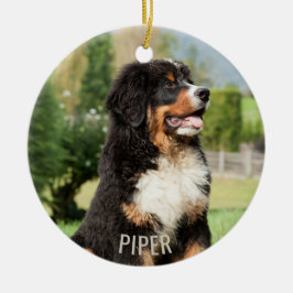 Bernese Mountain Hund jul Ornament