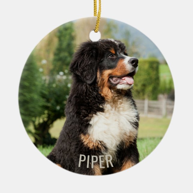 Bernese Mountain Hund jul Ornament (Framsidan)