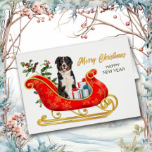 Bernese Mountain Hund jul Sleigh Helgdag Card