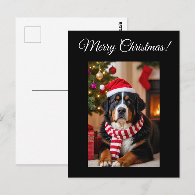 Bernese Mountain Hund jul Vykort (Fram/baksida)