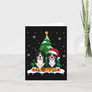 Bernese Mountain Hund Julgran Ljus Santa R Kort