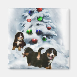Bernese Mountain Hund julklappar Magnet