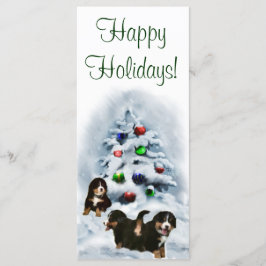 Bernese Mountain Hund julkort