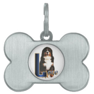 Bernese Mountain Hund Kärlek Namnbricka Husdjur
