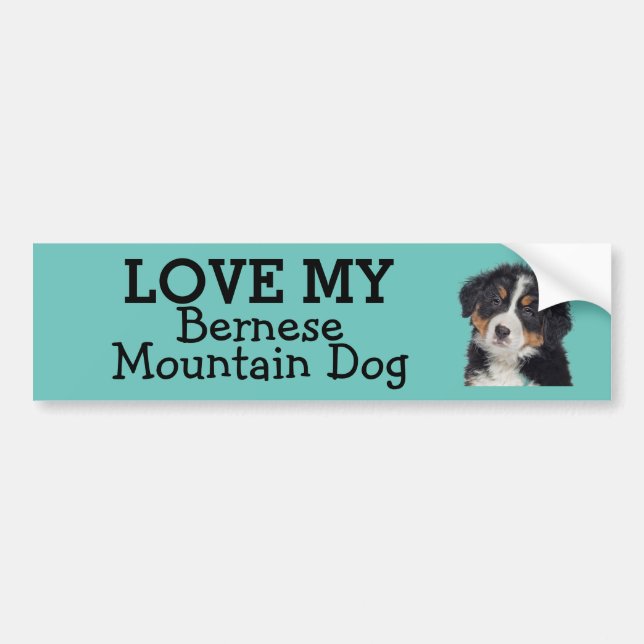 Bernese Mountain Hund-klistermärke Bildekal (Framsidan)