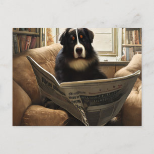 Bernese Mountain Hund Läser tidningen Vykort