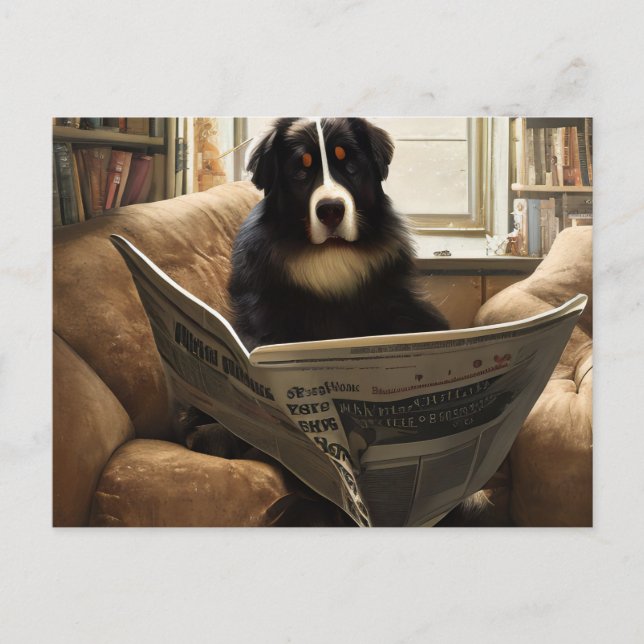 Bernese Mountain Hund Läser tidningen Vykort (Framsida)