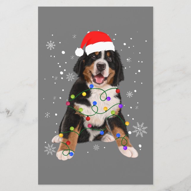 Bernese Mountain Hund Ljus Julmatchning Fam (Framsida)