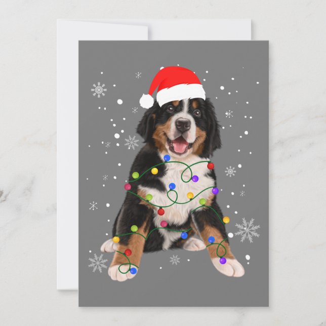 Bernese Mountain Hund Ljus Julmatchning Fam Inbjudningar (Framsida)