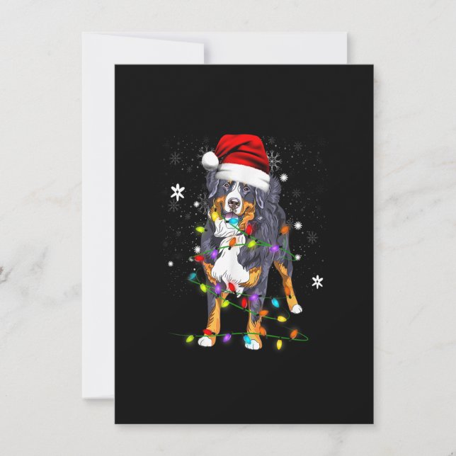 Bernese Mountain Hund Ljus Julmatchning Fam Inbjudningar (Framsida)