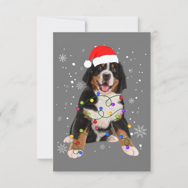 Bernese Mountain Hund Ljus Julmatchning Fam Tack Kort (Framsida)