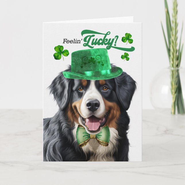 Bernese Mountain Hund Lucky St patrick's day Helgkort (Framsida)