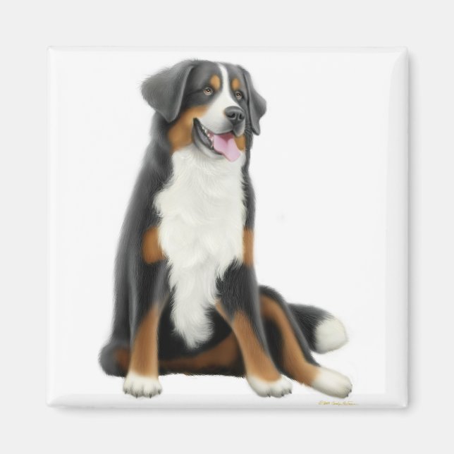 Bernese Mountain Hund Magnet (Framsidan)