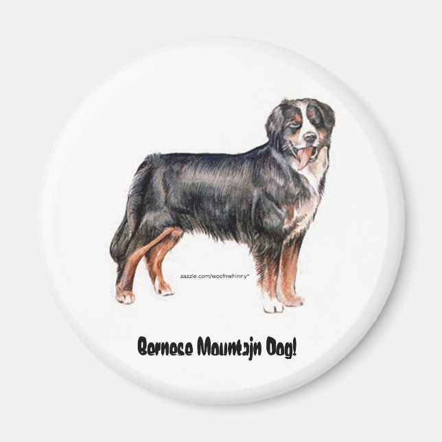 Bernese Mountain Hund Magnet (Framsidan)