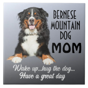 Bernese Mountain Hund Mamma Kakelplatta