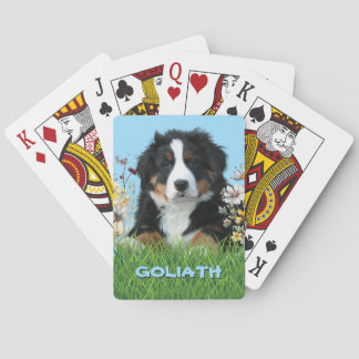 Bernese Mountain Hund Namn Casinokort