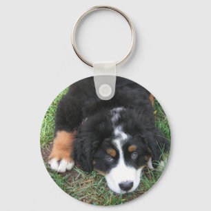 Bernese Mountain Hund Nyckelring