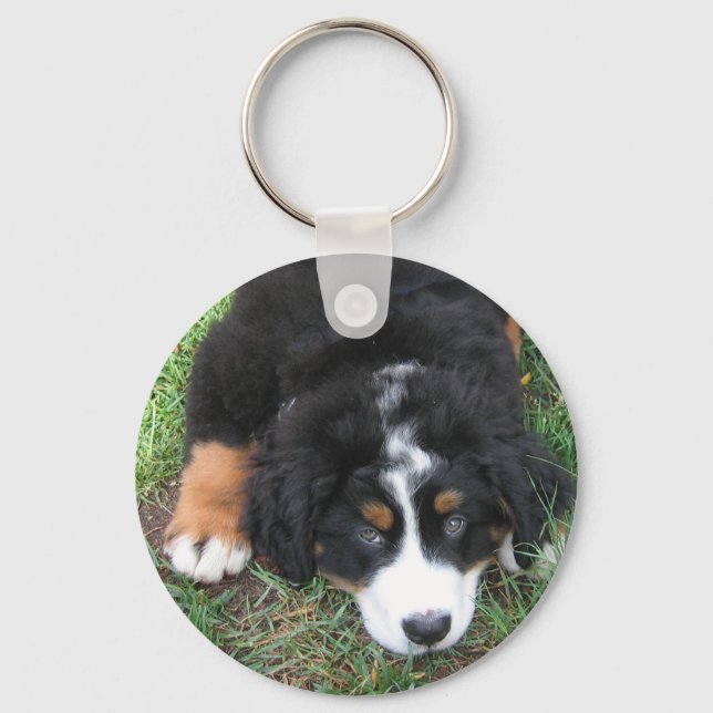 Bernese Mountain Hund Nyckelring (Framsida)