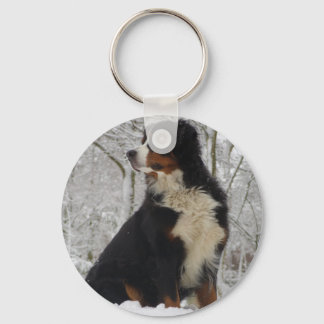 Bernese Mountain Hund Nyckelring