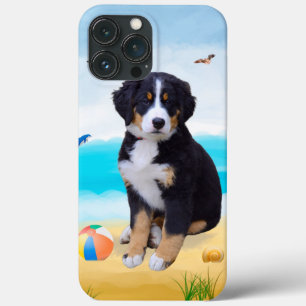 Bernese Mountain Hund på Beach