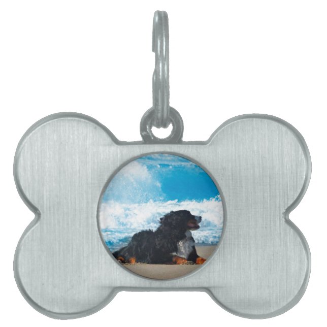 Bernese Mountain Hund på Beach ID-bricka Husdjur (Framsidan)