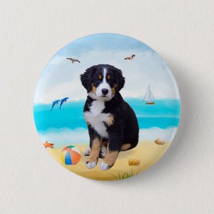 Bernese Mountain Hund på Beach Knapp