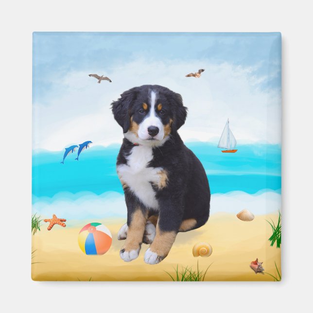 Bernese Mountain Hund på Beach Magnet (Framsidan)