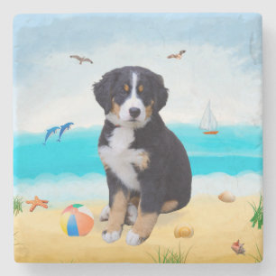 Bernese Mountain Hund på Beach Stenunderlägg