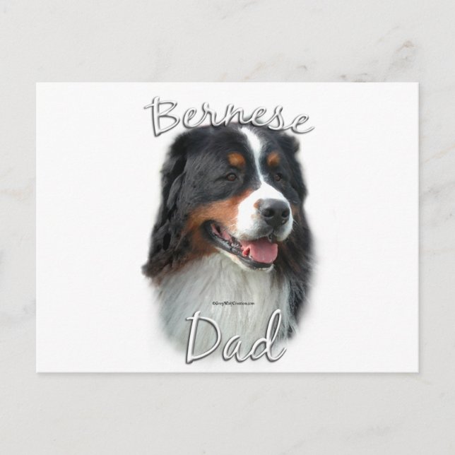 Bernese Mountain Hund Pappa 2 Vykort (Framsida)