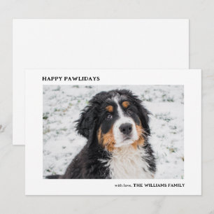 Bernese Mountain Hund Photo Minimal jul Julkort