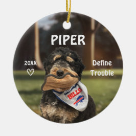 Bernese Mountain Hund Photo Ornament