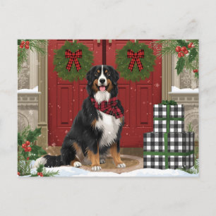 Bernese Mountain Hund Play jul Helg Vykort